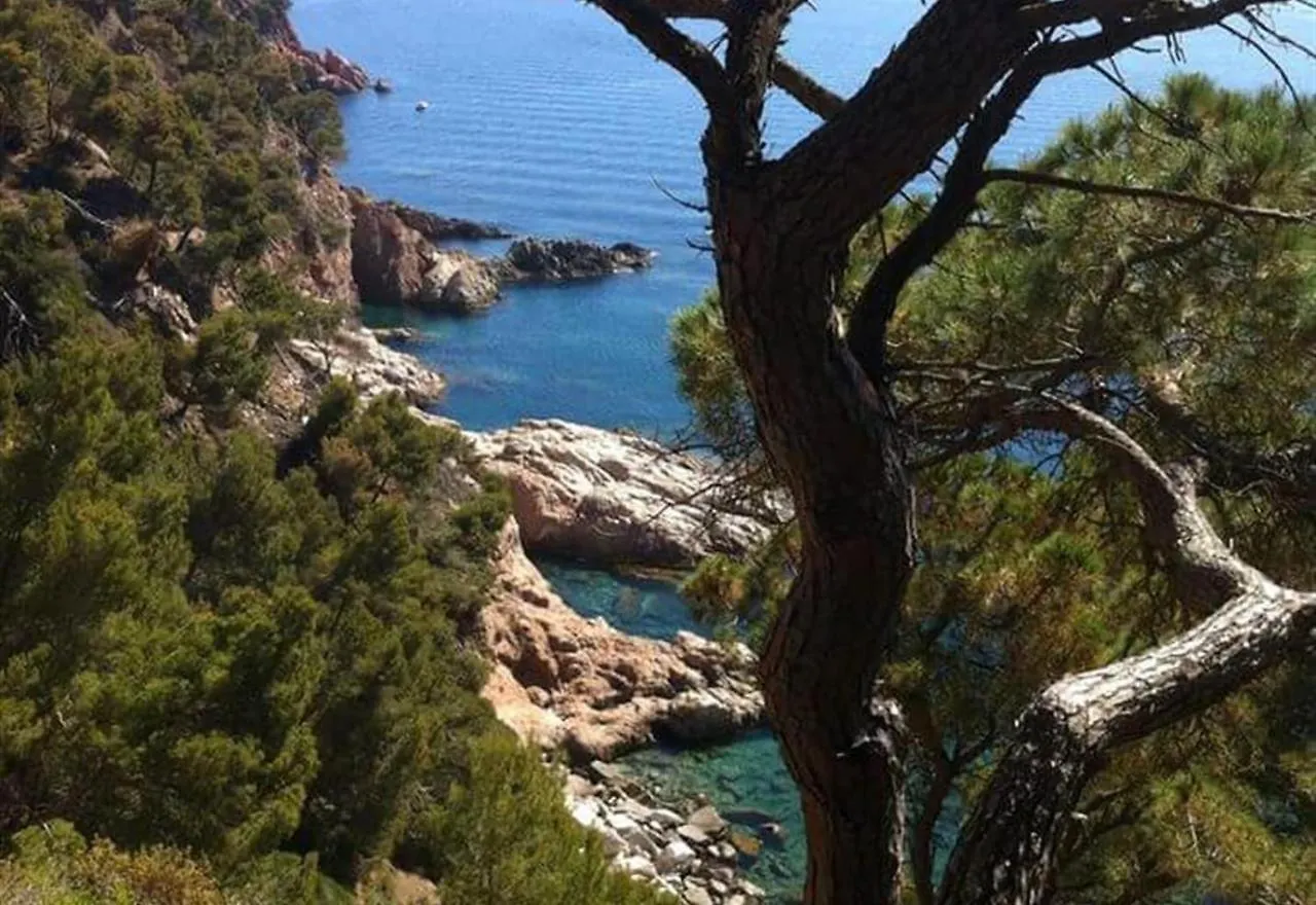Villa Casa Dolores Style Catalan Begur